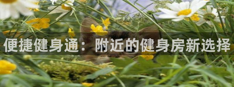 意昂2招商