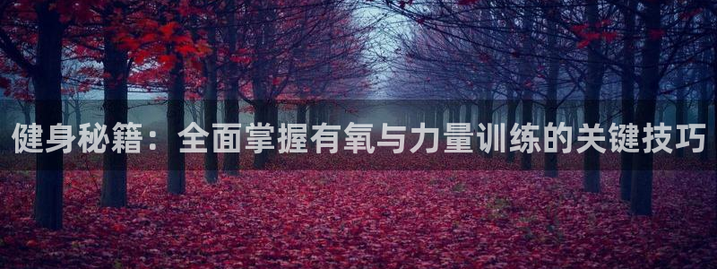意昂2平台