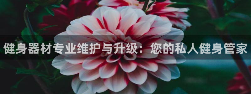 意昂2官网